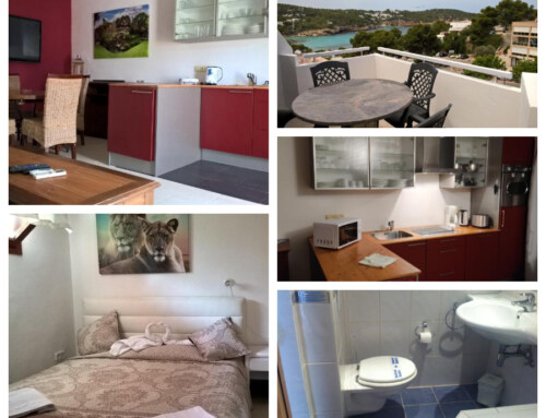 [1 BEDROOM DELUXE APARTMENT (3 GUESTS)] Budget holiday apartments for up to 6 guests in Portinatx