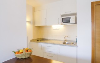 Beautiful quiet apartment Santa eulalia by the sea bonllap kitchen - LeibTour: TOP aparthotels in Ibiza