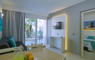Bright large family apartment by the sea BALRESMIG Living room2 - LeibTour: TOP aparthotels in Ibiza