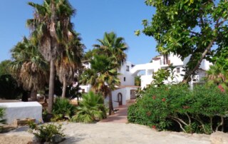 PNABNTRS garden - LeibTour: TOP aparthotels in Ibiza