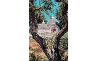 isa400 outdoor 01 - LeibTour: TOP aparthotels in Ibiza