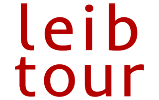 leibtour airbnb icona - LeibTour: TOP aparthotels in Ibiza