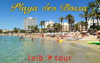 playa den bossa - LeibTour: TOP aparthotels in Ibiza