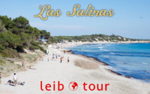 salinas - LeibTour: TOP aparthotels in Ibiza